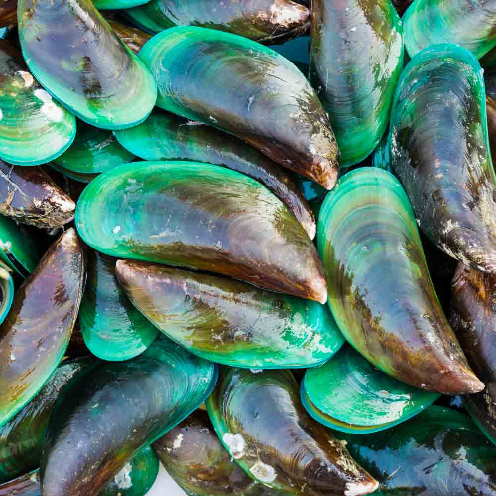 Green Lipped Mussels with Vit C